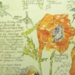 SiegelJude_JunePoppies_Cropped